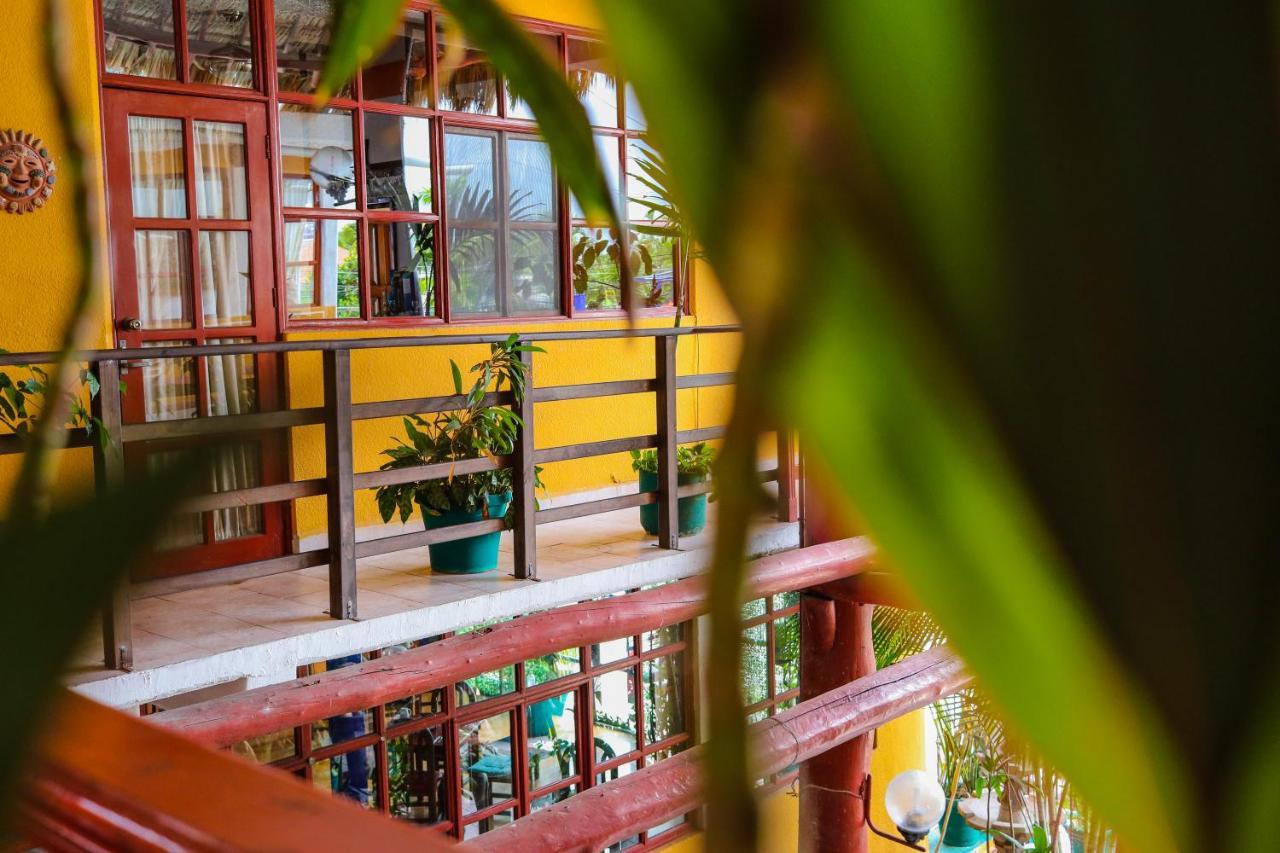 Hotel Bello Caribe コスメル エクステリア 写真